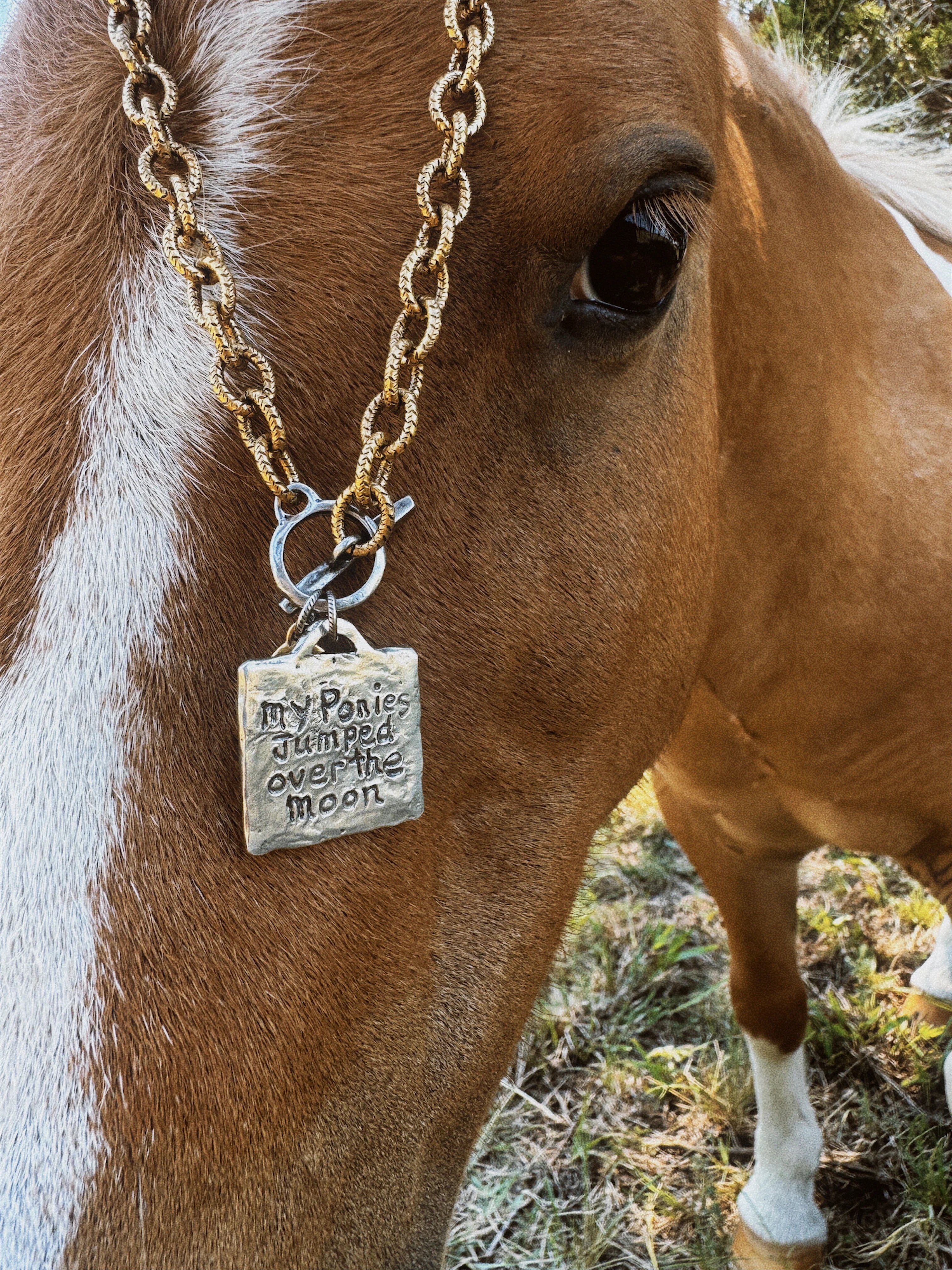 The Painted Pony Necklace