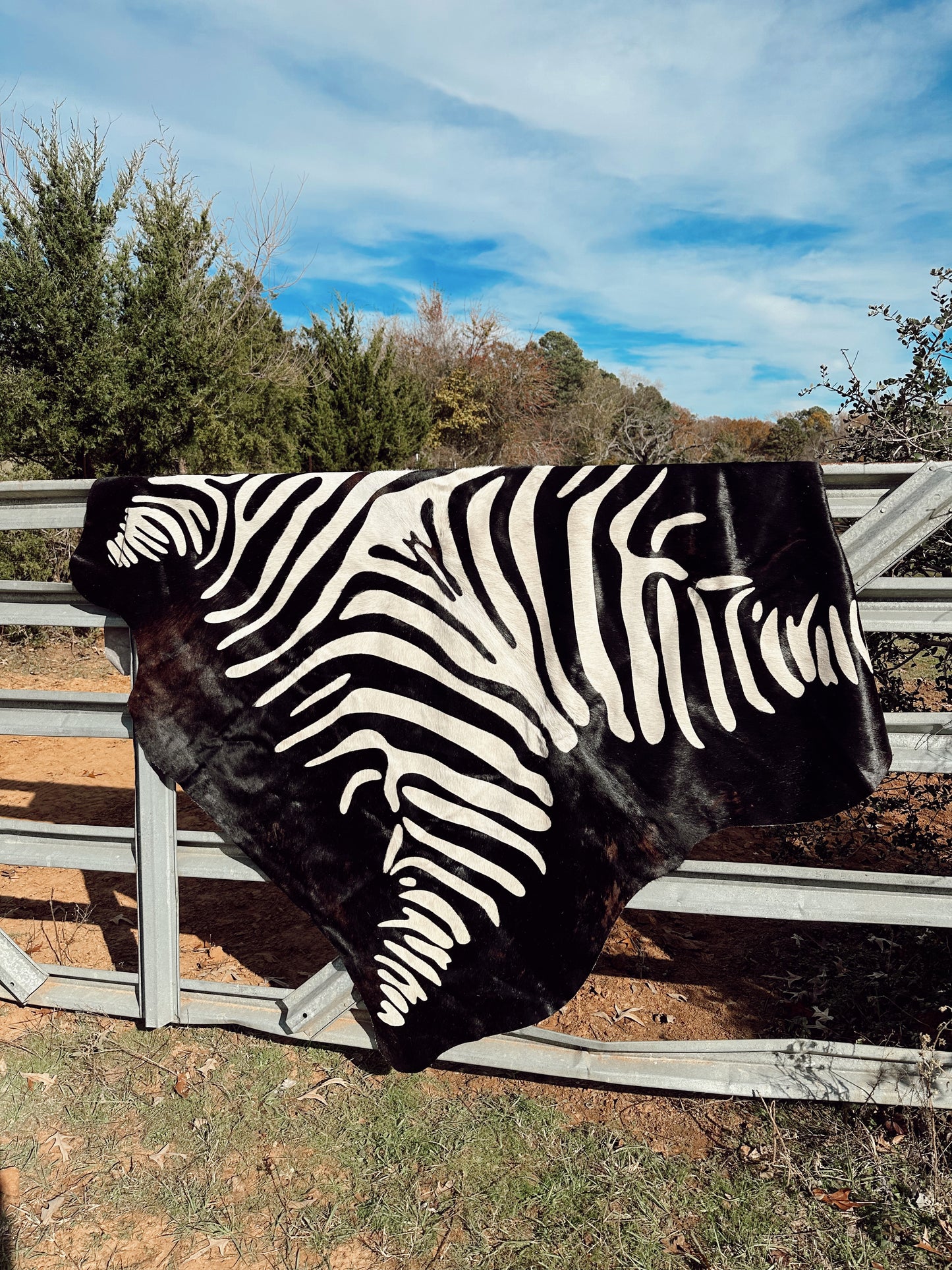 The Zebra Cowhide Rug