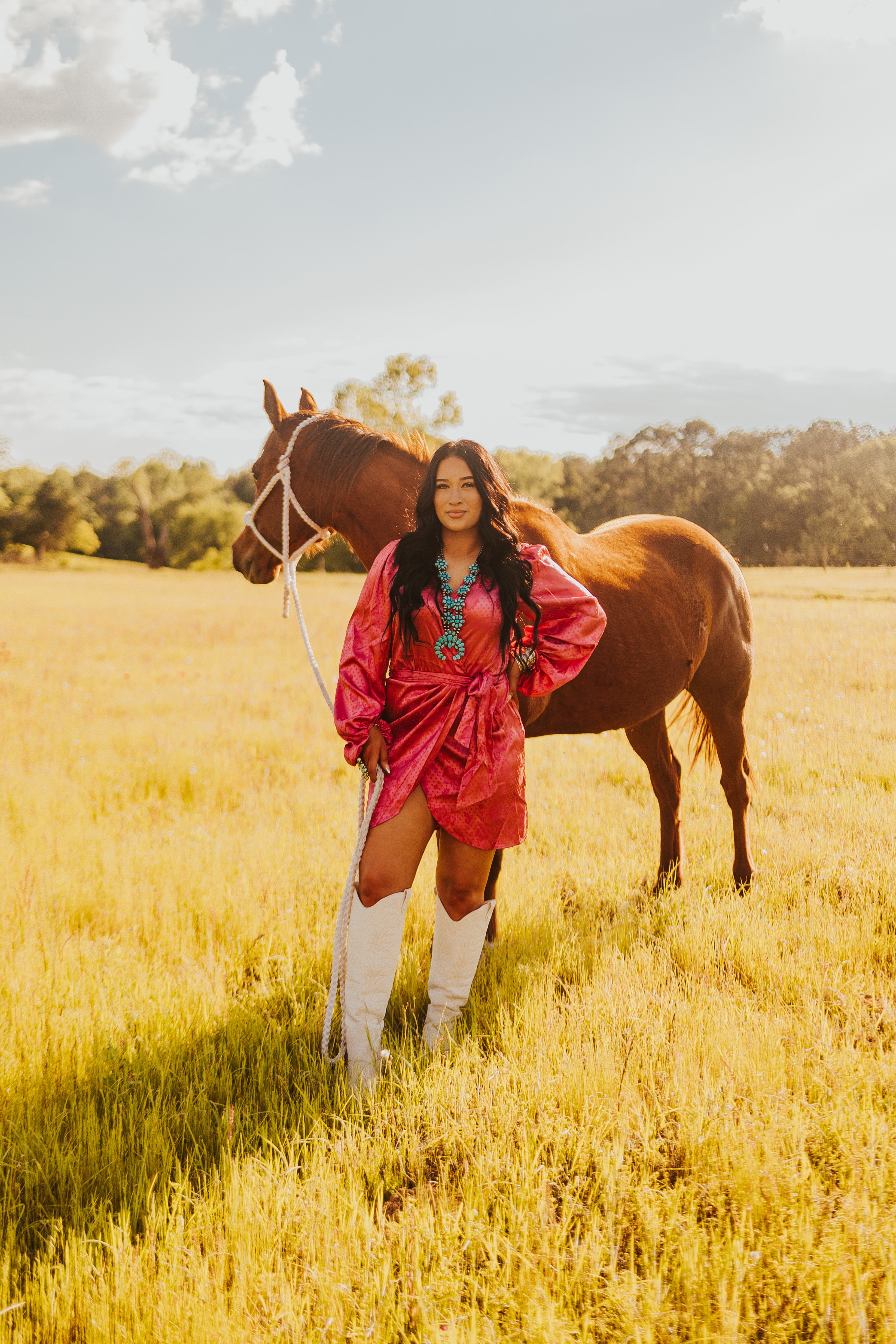 The Santa Fe Dress - small