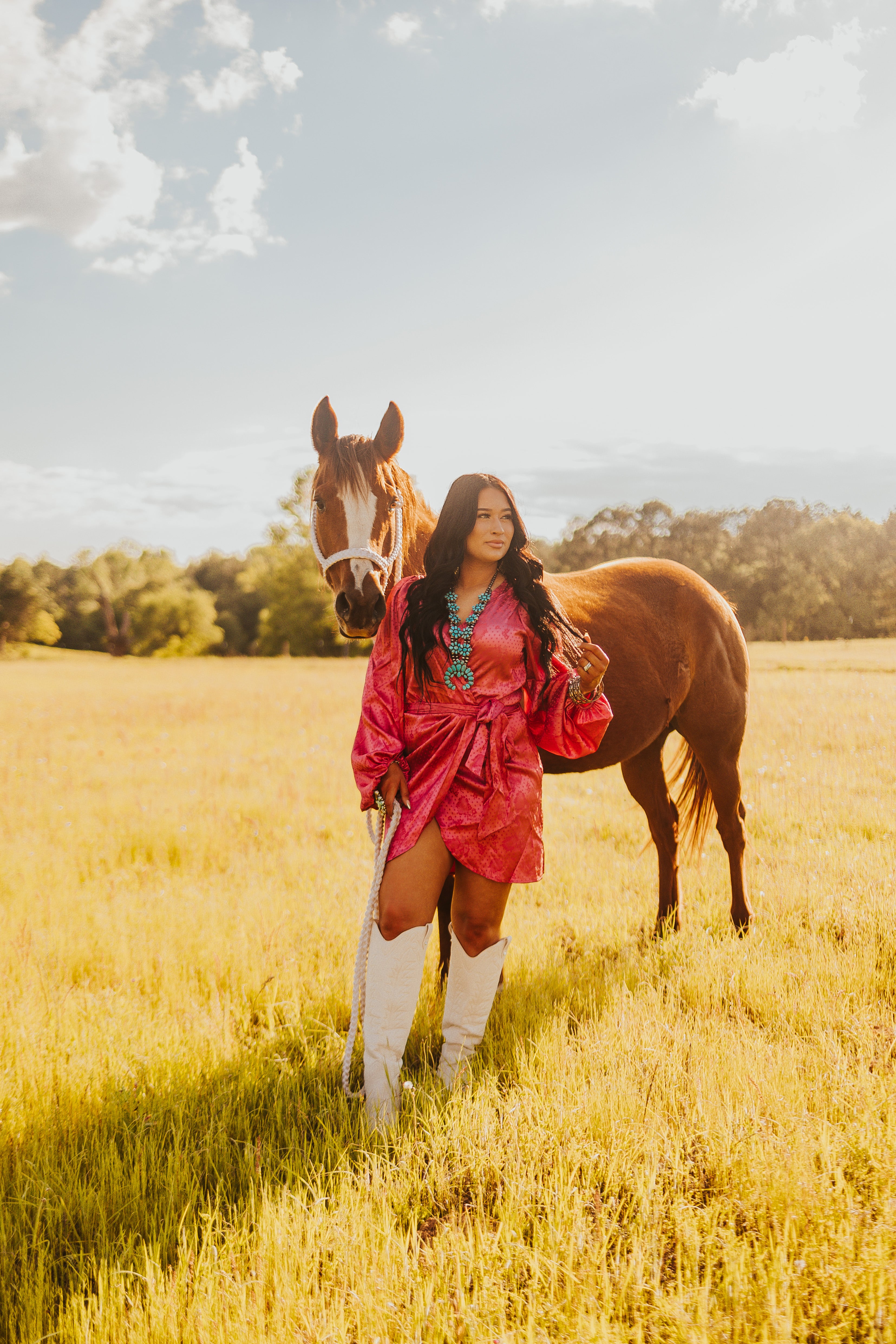 The Santa Fe Dress - small