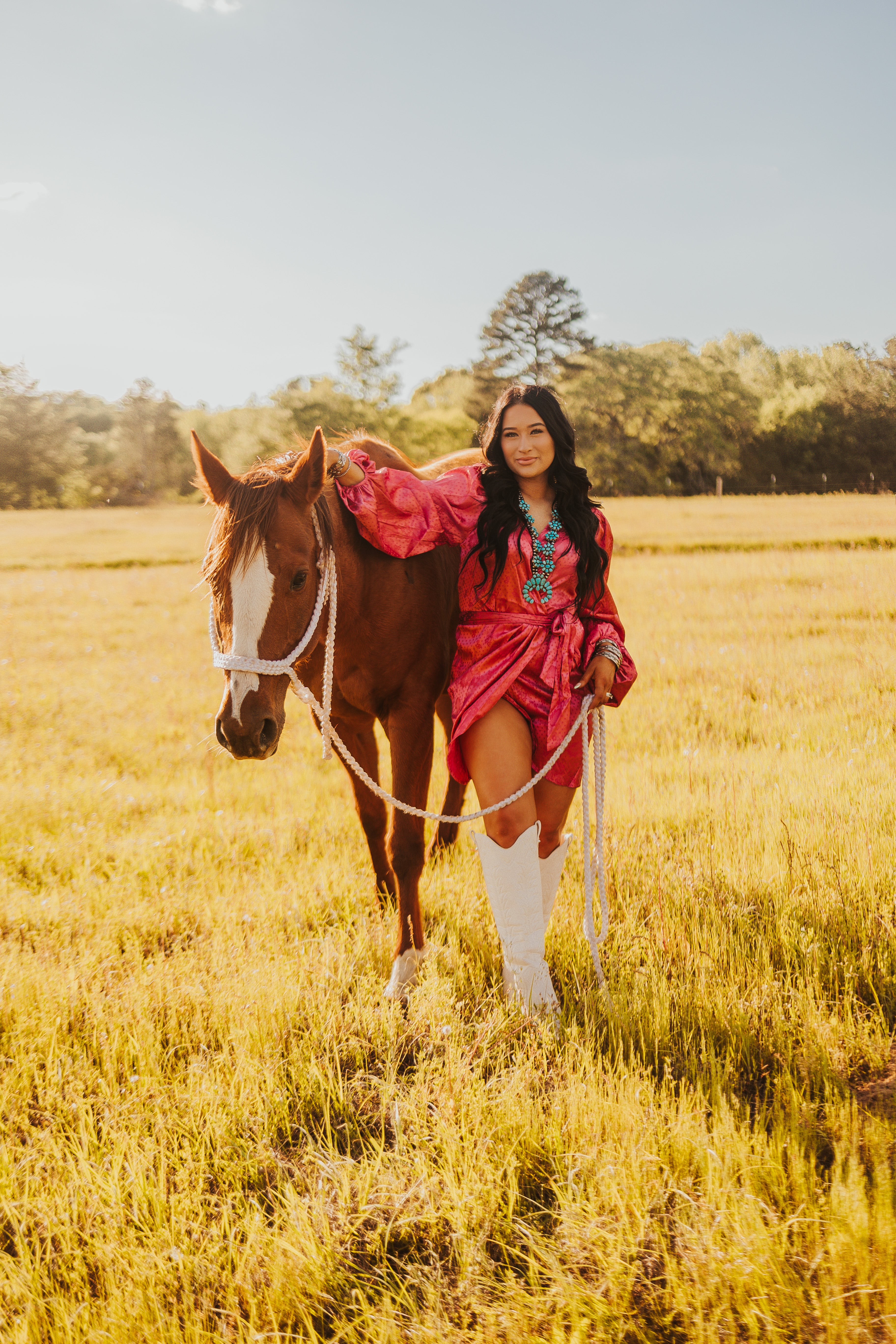 The Santa Fe Dress - small