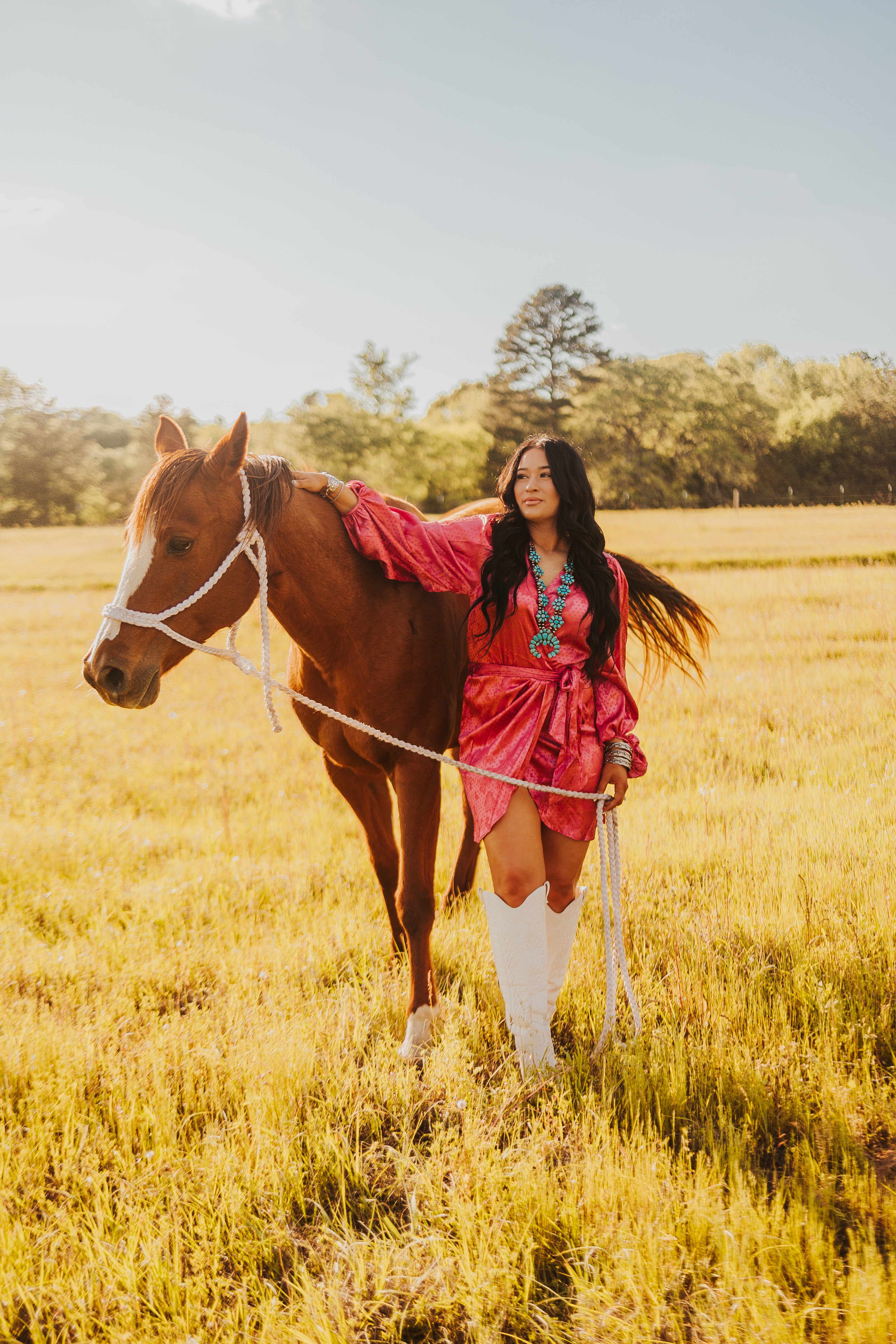 The Santa Fe Dress - small