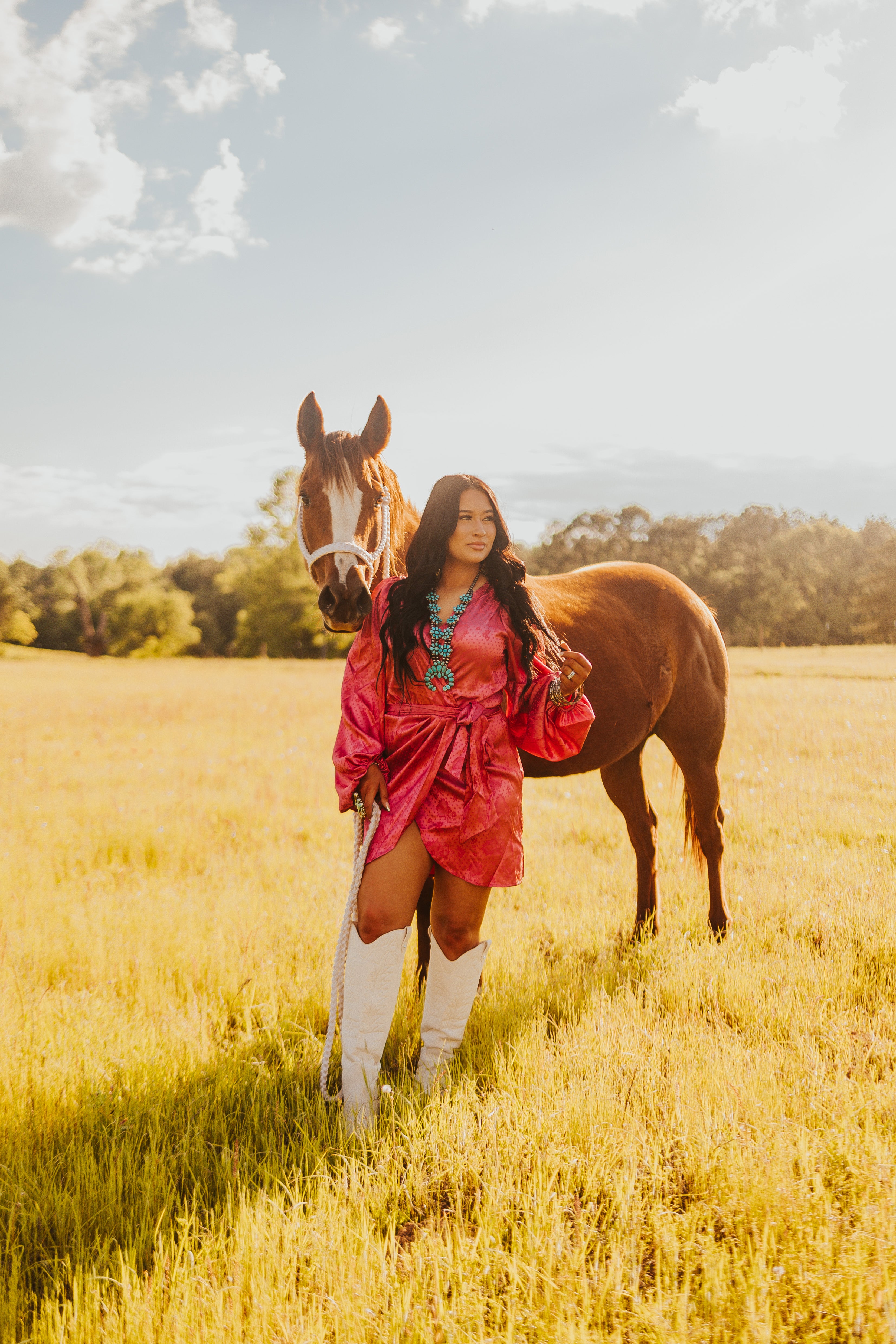 The Santa Fe Dress - small