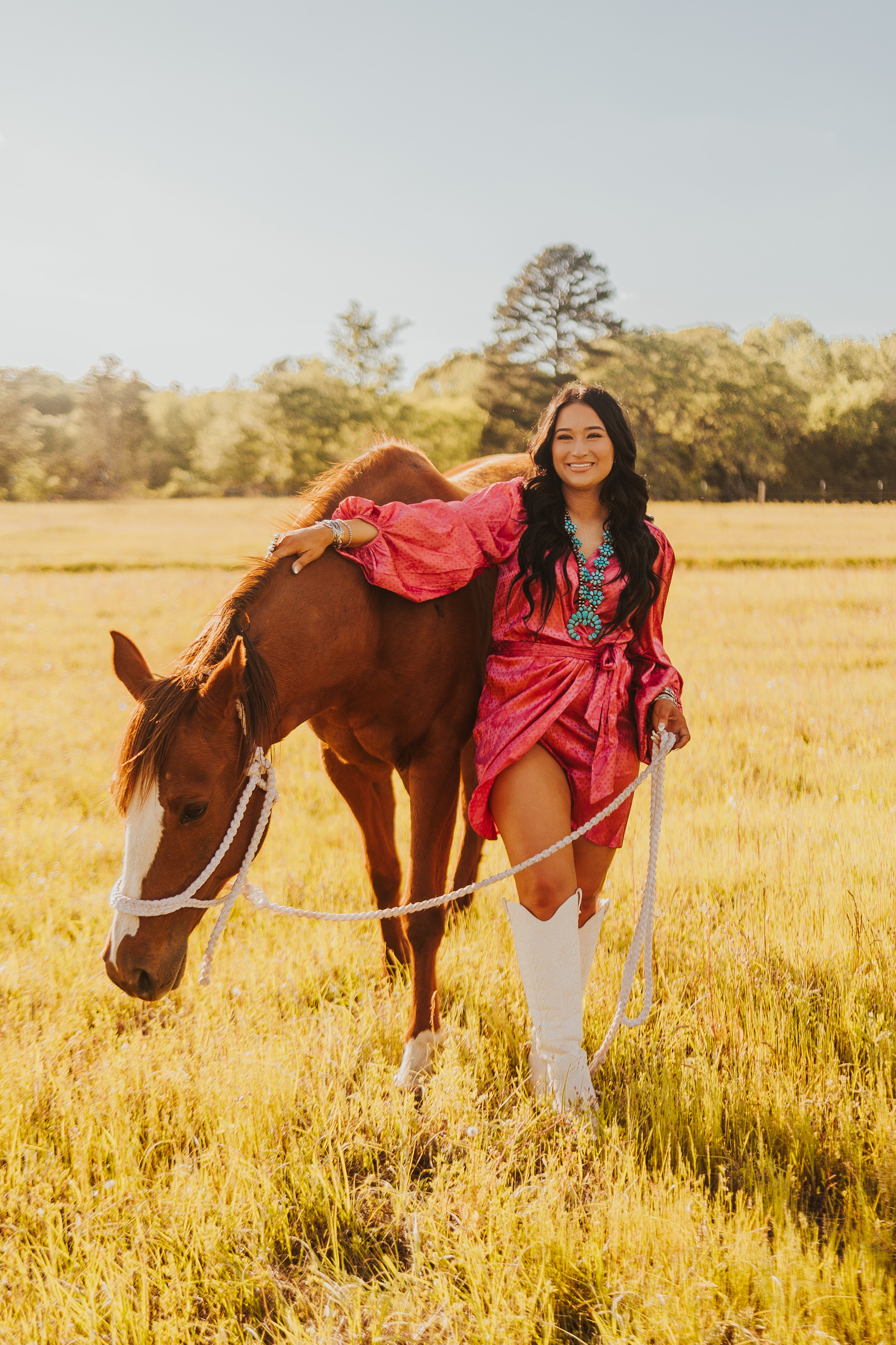 The Santa Fe Dress - small