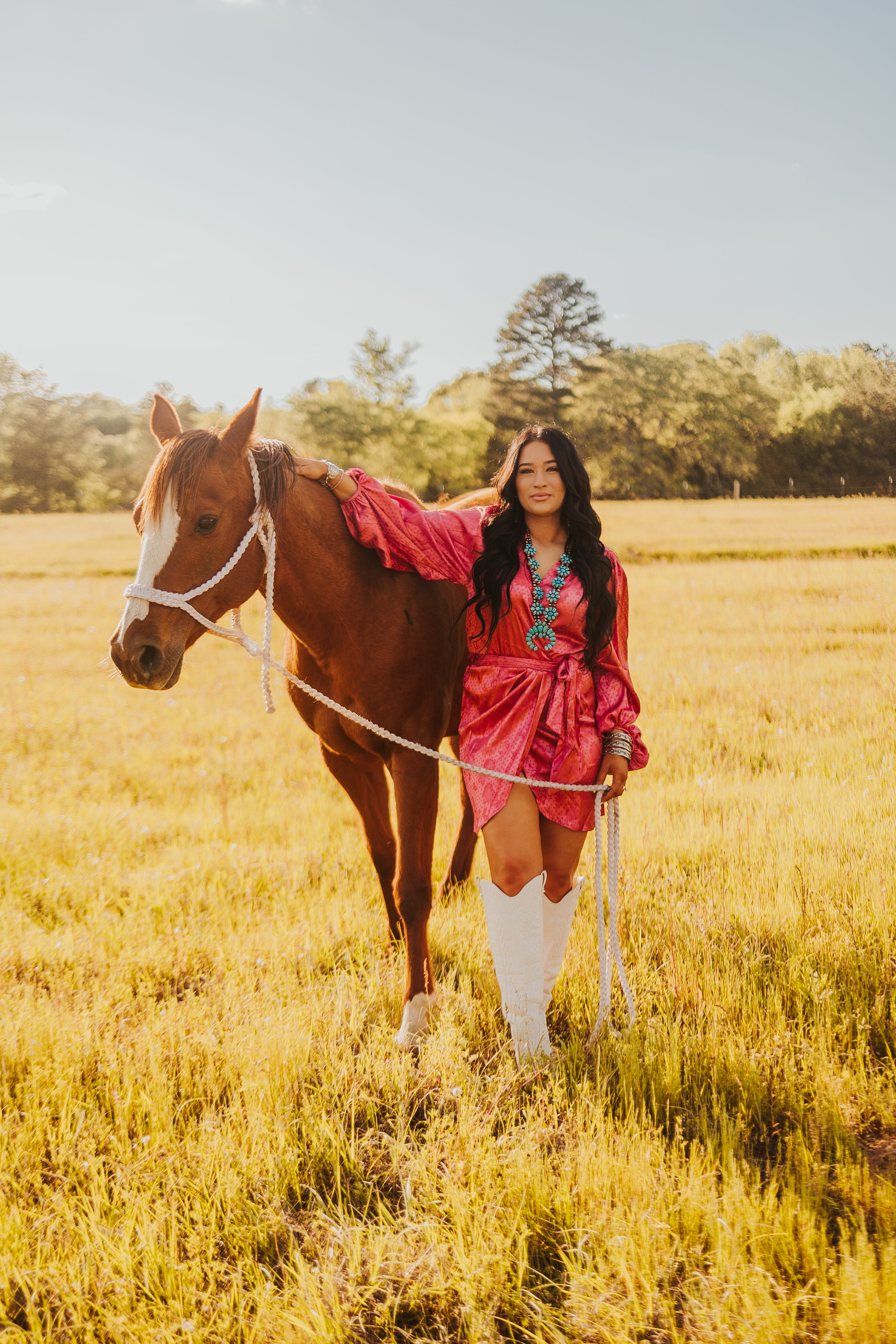 The Santa Fe Dress - small