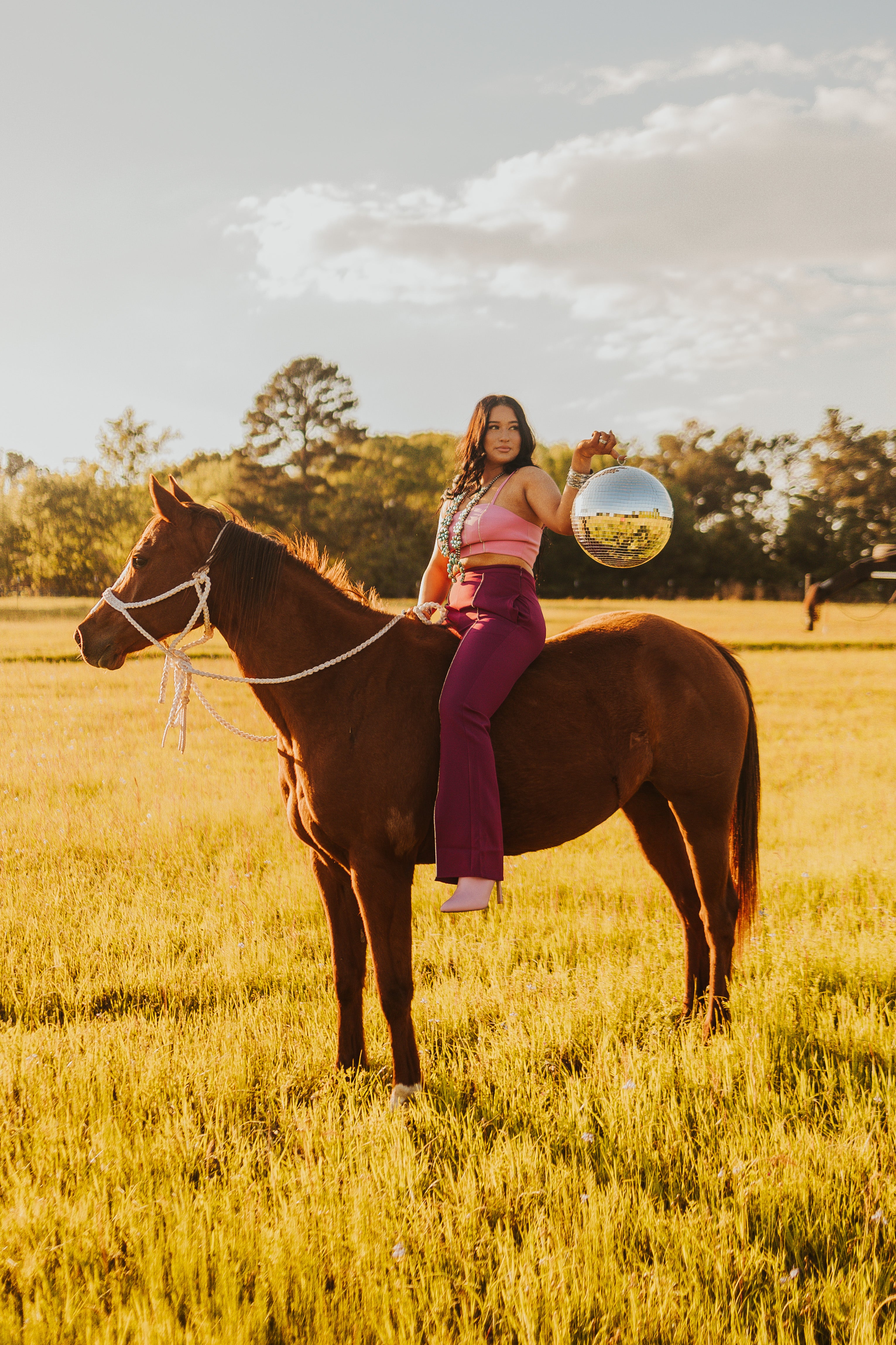 The Rhinestone Pants