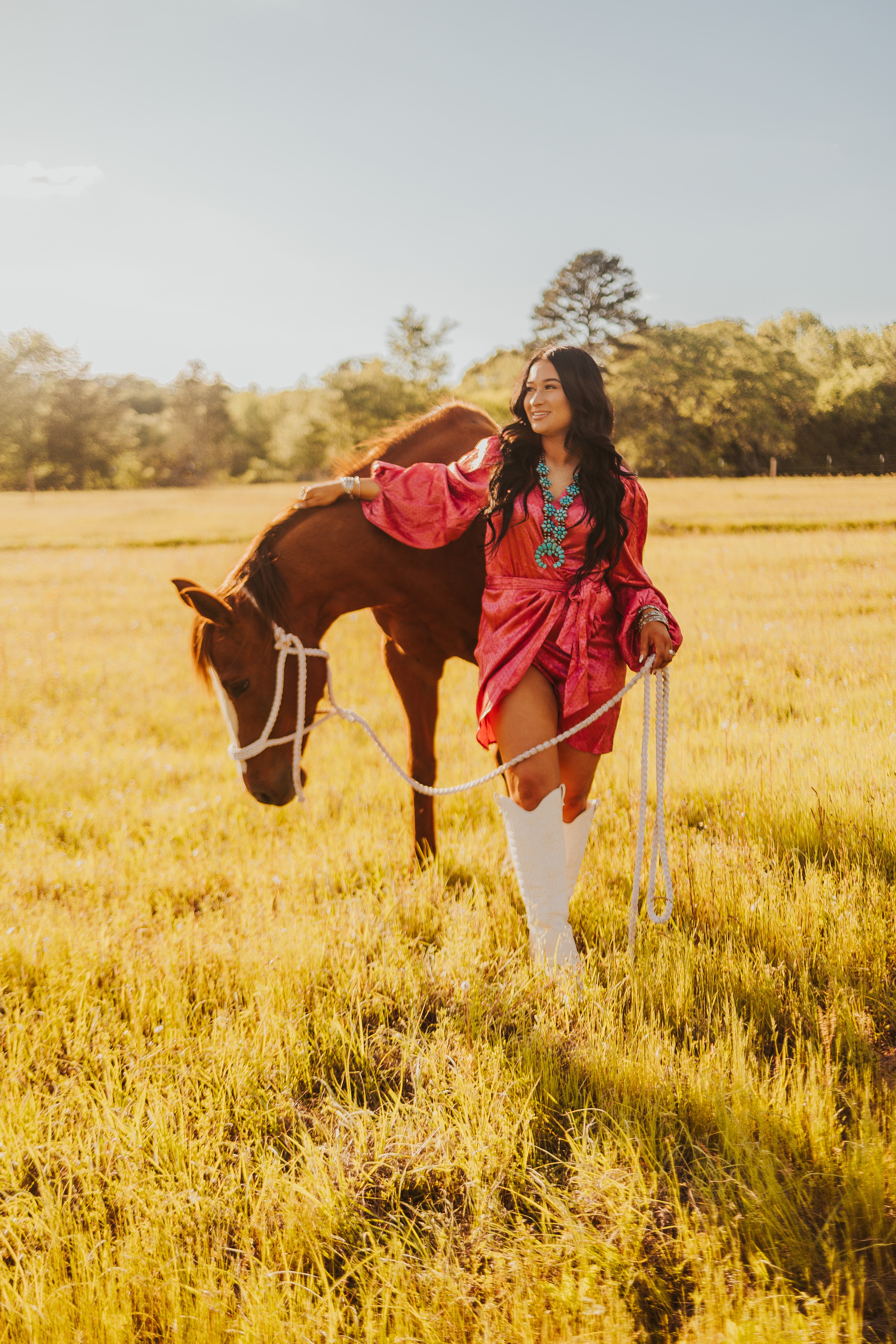 The Santa Fe Dress - small