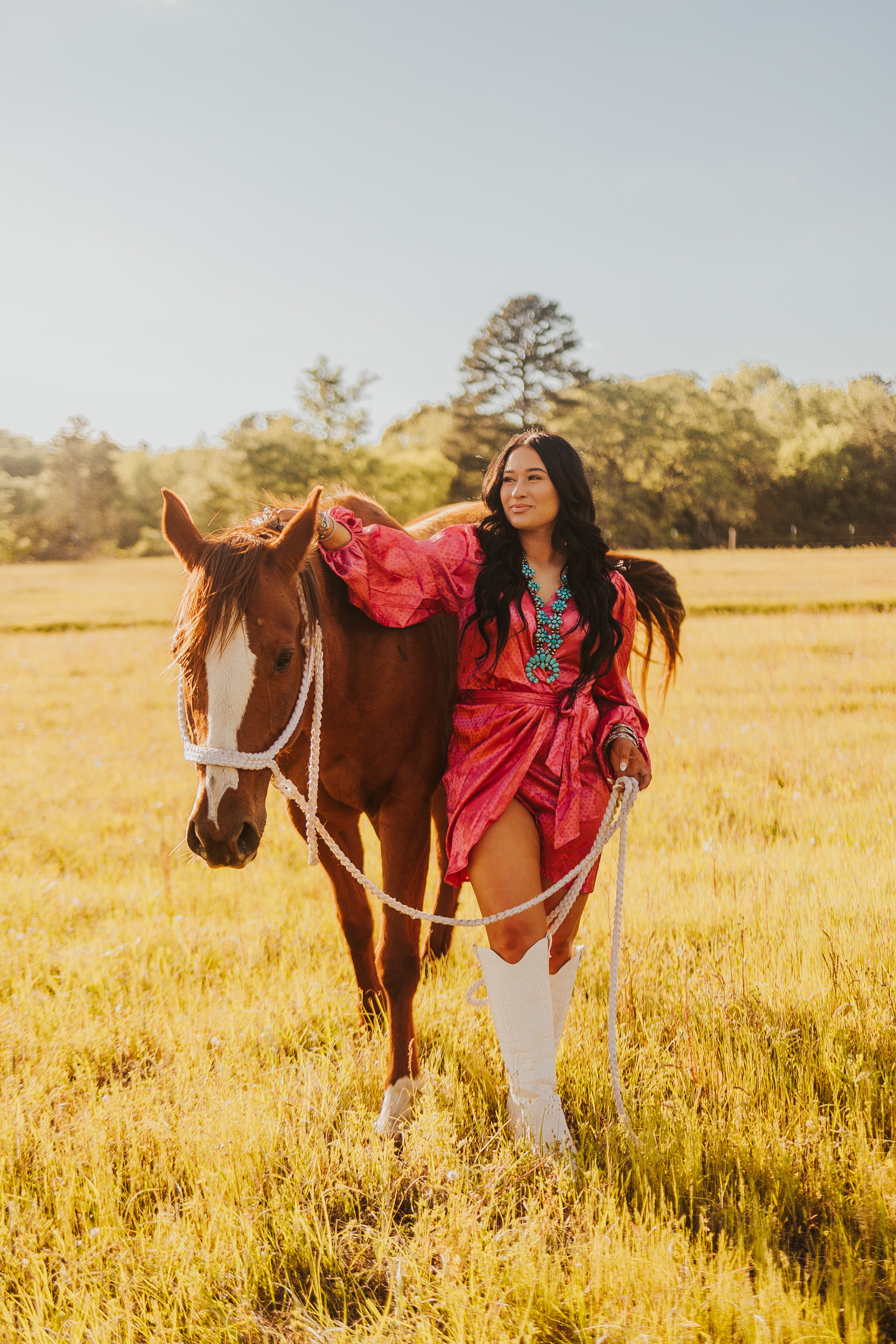 The Santa Fe Dress - small