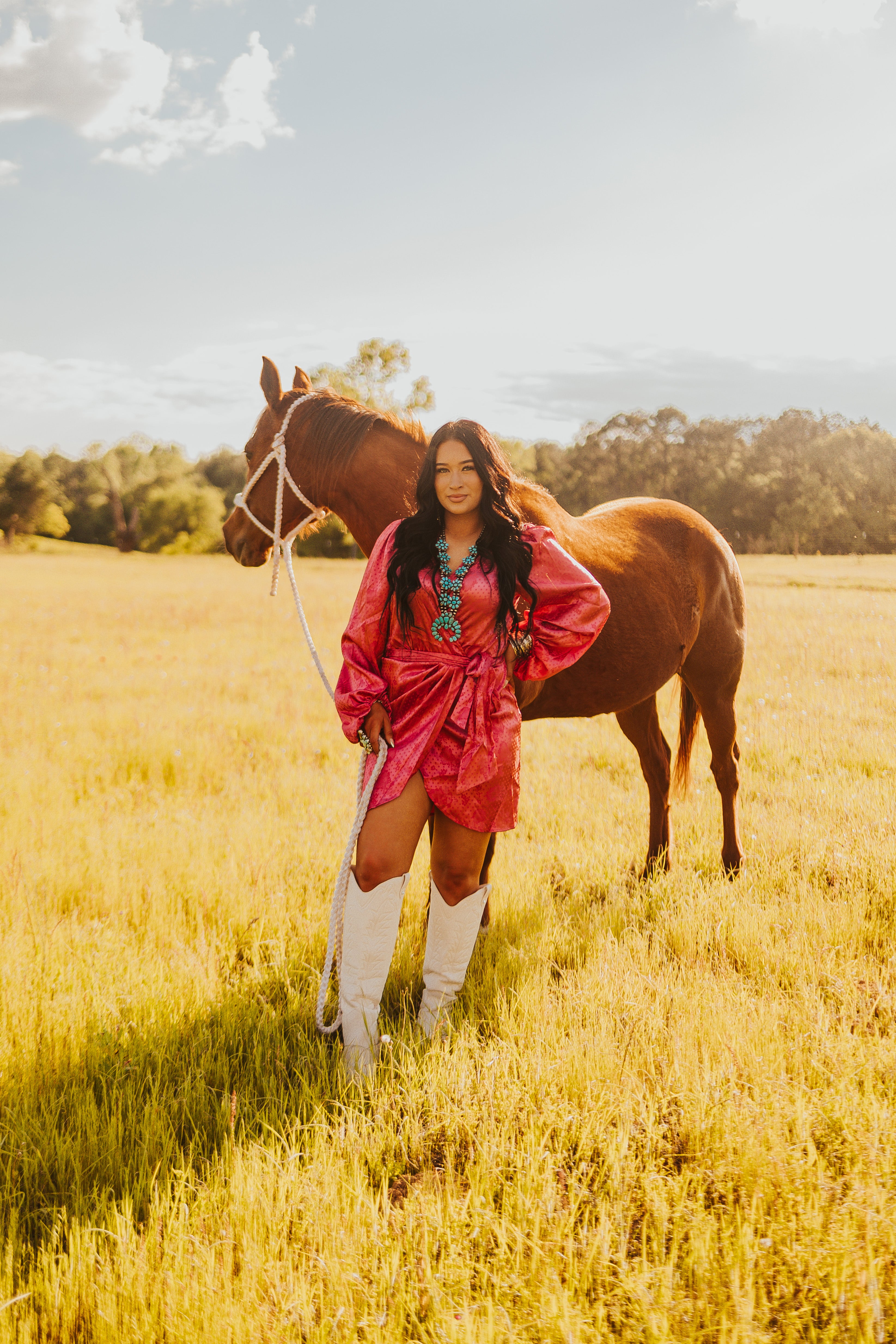 The Santa Fe Dress - small